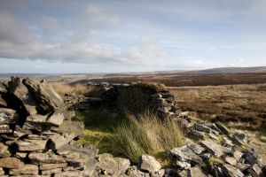 ponden moor 16 sm.jpg